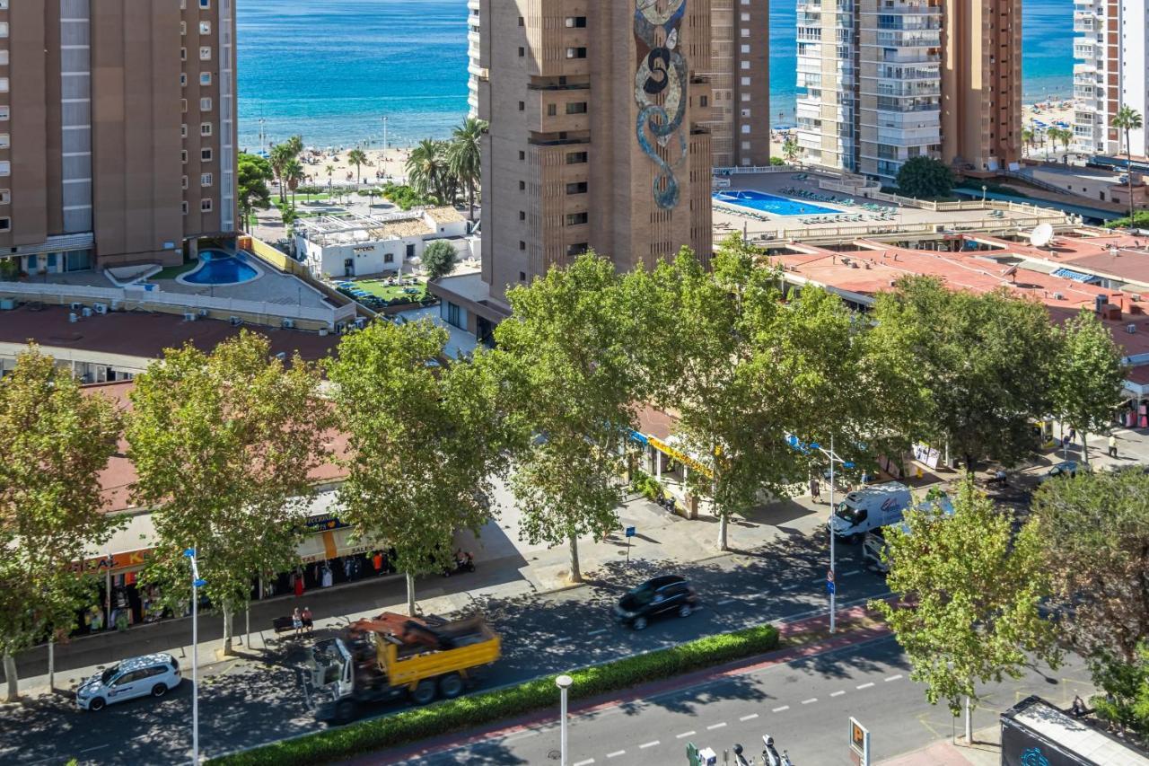 Albatros 13-8 Estudio Levante Apartment