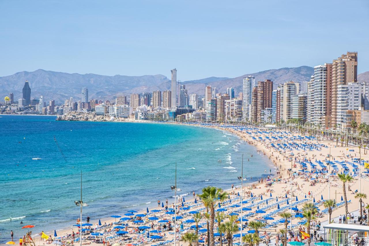 Albatros 13-8 Estudio Levante Apartment Benidorm